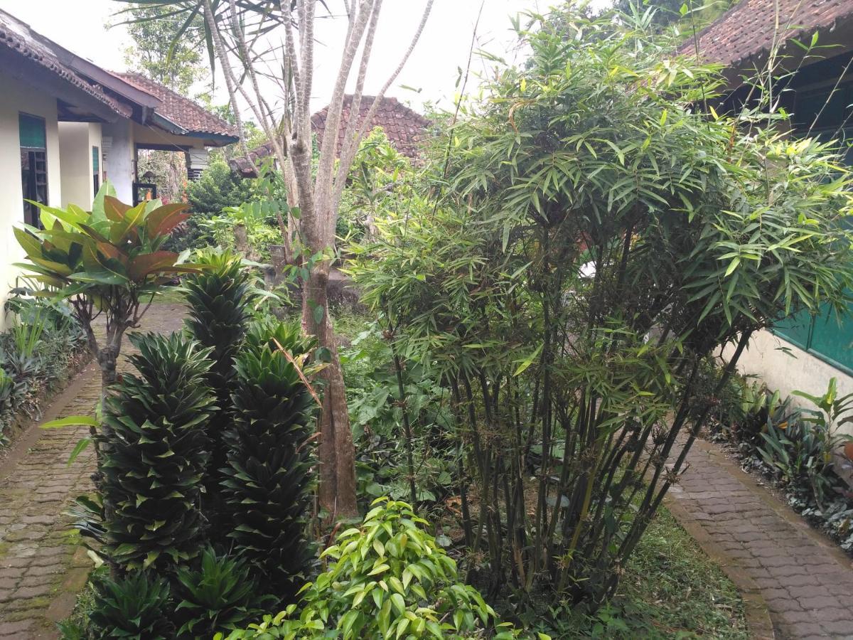 Dhangin Taman Karangasem Eksteriør bilde