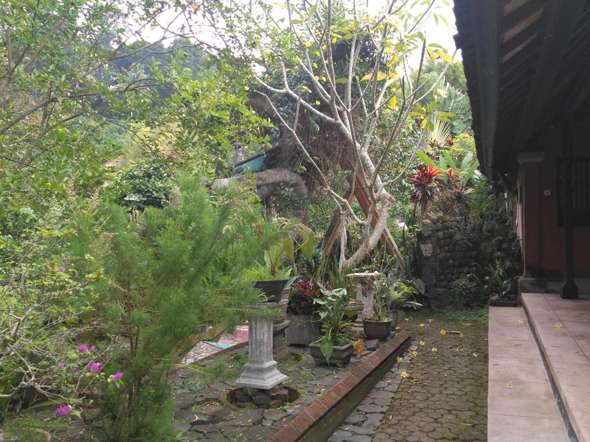Dhangin Taman Karangasem Eksteriør bilde